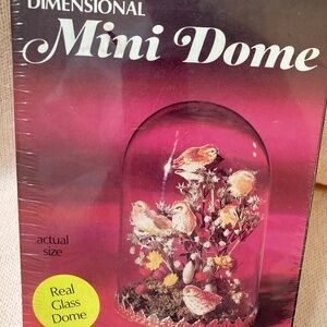 Vintage 1974 Glass Dome Craft Kit Birds